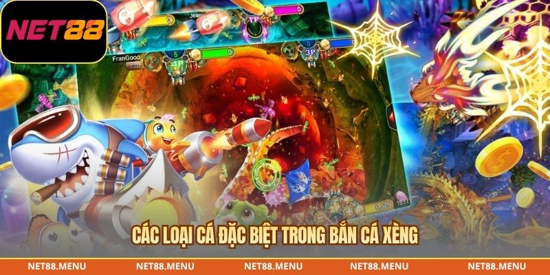 Bắn Cá Xèng – Phân Biệt Máy Xu, Luật Chơi Và Bảng Thưởng Kiểm tra mục tiêu đặc biệt trong bắn cá xèng
