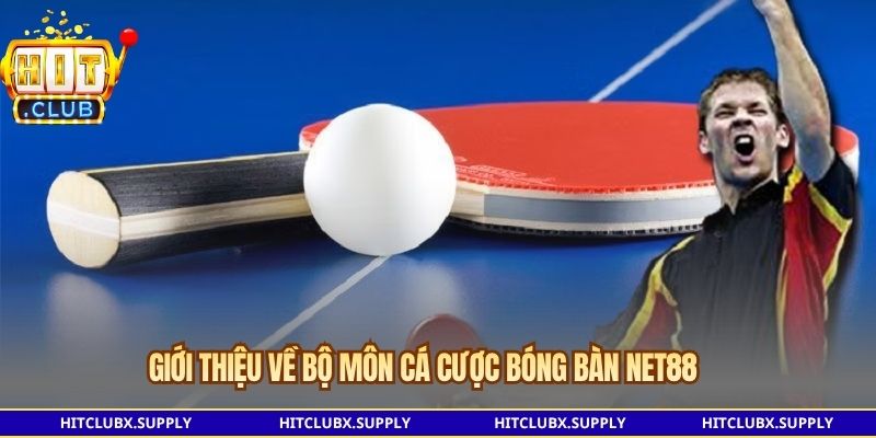 Cá Cược Bóng Bàn NET88 – Các Loại Kèo Và Luật Thanh Toán Luật tính điểm khi cá cược bóng bàn NET88