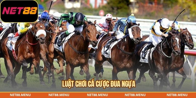 Cá Cược Đua Ngựa – Cách Đọc Racecard Và Quy Tắc Trả Thưởng Các loại cược Win Place Exacta và Quinella trong đua ngựa