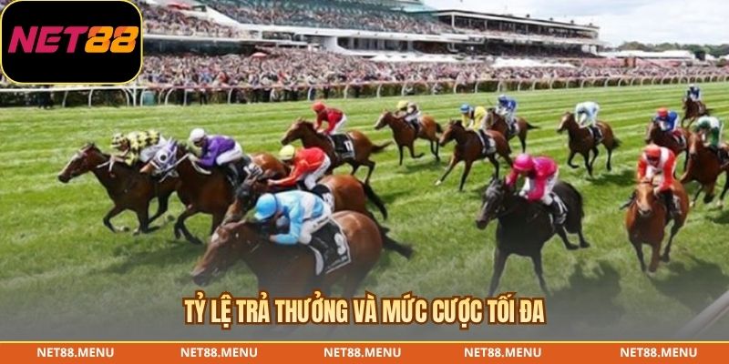 Cá Cược Đua Ngựa – Cách Đọc Racecard Và Quy Tắc Trả Thưởng Cách đọc racecard khi phân tích cá cược đua ngựa
