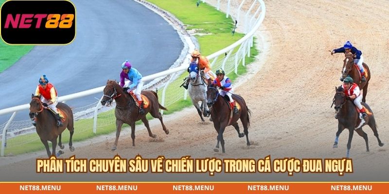 Cá Cược Đua Ngựa – Cách Đọc Racecard Và Quy Tắc Trả Thưởng Dữ liệu cần kiểm tra trong cá cược đua ngựa