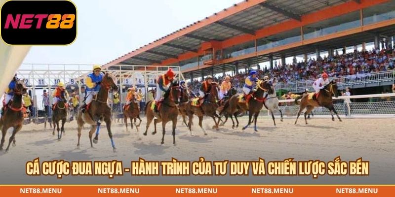 các cược đua ngựa - hành trình của tư duy và chiến lược sắc bén