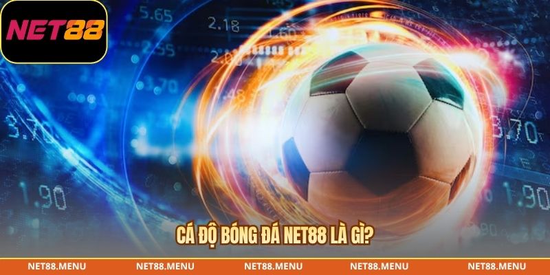 Các thành phần cần đọc trong cá độ bóng đá NET88