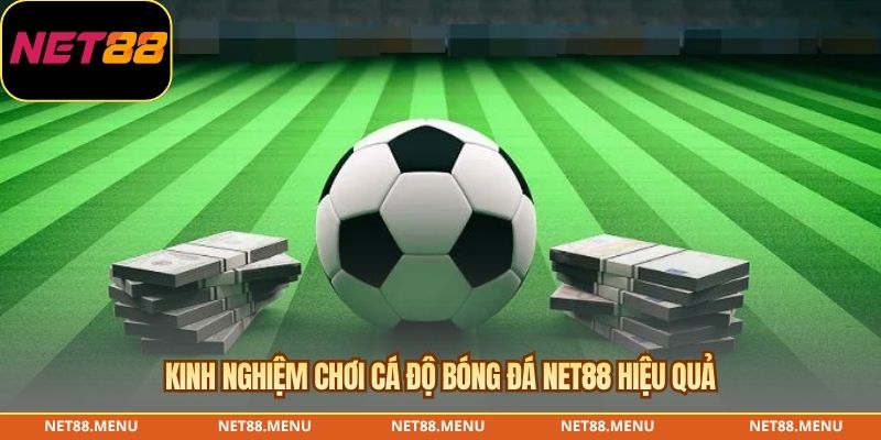 Checklist kiểm tra phiếu cá độ bóng đá NET88